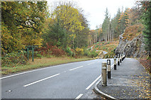 NM9642 : A828 near Sutherland's Grove, Barcaldine by Steven Brown