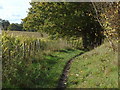 Footpath near Pyrford