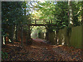 Footbridge, Burhill golf course