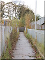 Footpath to Footbridge - Netherfield Road