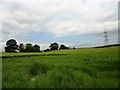 Fields north of the railway