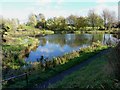 An urban fishing pond