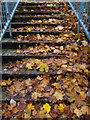 Leaf-strewn steps at Wentworth Car Park