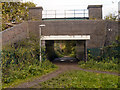 Underpass to Borrowdale Avenue