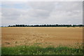 Prairie landscape, Paglesham