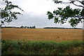 Farmland near West Hall