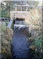 Sluice gate at Leadside