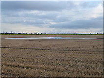 TL3899 : Flooded stubble field on White Moor near March by Richard Humphrey