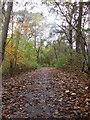 Footpath Near Park Way, Kildrum, Cumbernauld