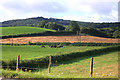 Fields near Limekiln Farm