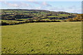 Farmland above Longhope