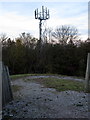 Phone mast on Chicheley Hill