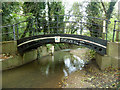 Footbridge over Salmon