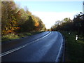 NY5561 : The A69 heading east through woodlands by JThomas