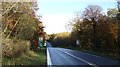 NY5661 : The A69 heading east through woodlands  by JThomas