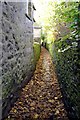 Secluded path in Grassington