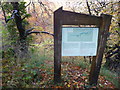 Part of Cwm Clydach / Clydach Gorge