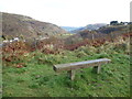 Bench at Gellifelin above Cwm Clydach / Clydach Gorge