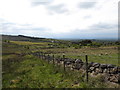 J2776 : Northern boundary fence of National Trust land at Divis by Eric Jones