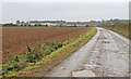 Track to New Hall Farm