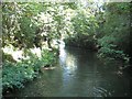 Stratford-on-Avon Canal: Reach in Brandwood End