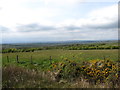 Grazing land next to the moorland boundary