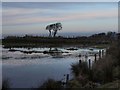 NS5748 : Carrot road wetlands by Alec MacKinnon
