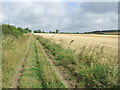 TL5849 : Footpath And Field by Keith Evans