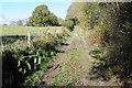 Footpath and track above Longhope