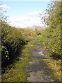 Cycle path to Olney