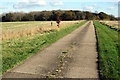 The track to Wood Farm and Hollington Wood