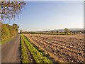 Lane  to Preston on Stour