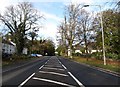 The A24 (Belfast/Newcastle) road at Seaforde