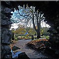 SO1408 : Through The Grotto arch, Bedwellty Park by Robin Drayton