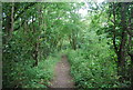 North Downs Trackway