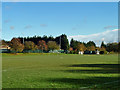 White Hart Lane recreation ground