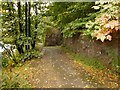 Footpath beside the River Leven