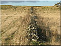 NT5328 : Drystone wall at Cockmoss by M J Richardson