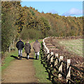 Footpath by Arlington Reservoir