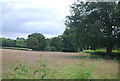 Farmland by Combe Lane