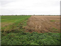 TL5186 : Fields north of Pymoor Lane by Hugh Venables