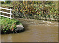 SJ6152 : Canal lock overflow near Ravensmoor, Cheshire by Roger  Kidd