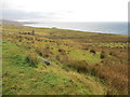 Grazing land with a view