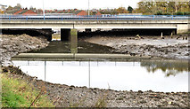 J3675 : The Connswater at the Sydenham bypass, Belfast (1) by Albert Bridge