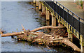 J1486 : River debris, Antrim by Albert Bridge