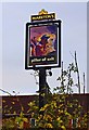 Pillar of Salt (2) - sign, Celvestune Way, Copcutt Hill, Droitwich Spa