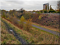 SJ8894 : National Cycle Route 6, Fallowfield Loop Line by David Dixon