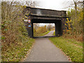 SJ8894 : Fallowfield Loop Line, Bridge at Longford Road East by David Dixon