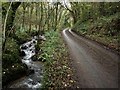 Rookery Brook flowing beside the lane from Christow to Bridford