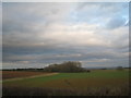 View towards a plantation near Waddingham Grange